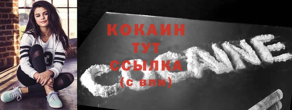 мдпв Фурманов