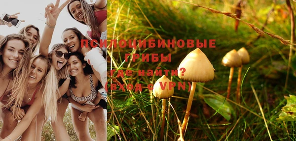 мдпв Фурманов