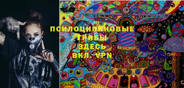 мдпв Фурманов
