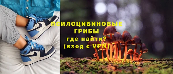 мдпв Фурманов