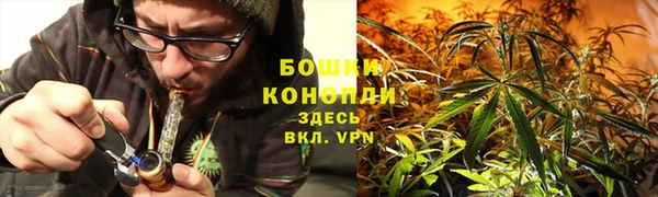 мдпв Фурманов