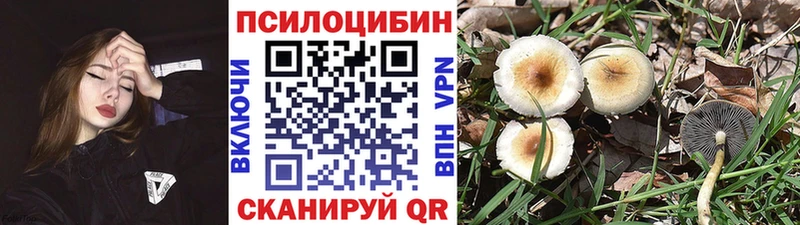 Купить  Калач-на-Дону  Галлюциногенные грибы ЛСД 